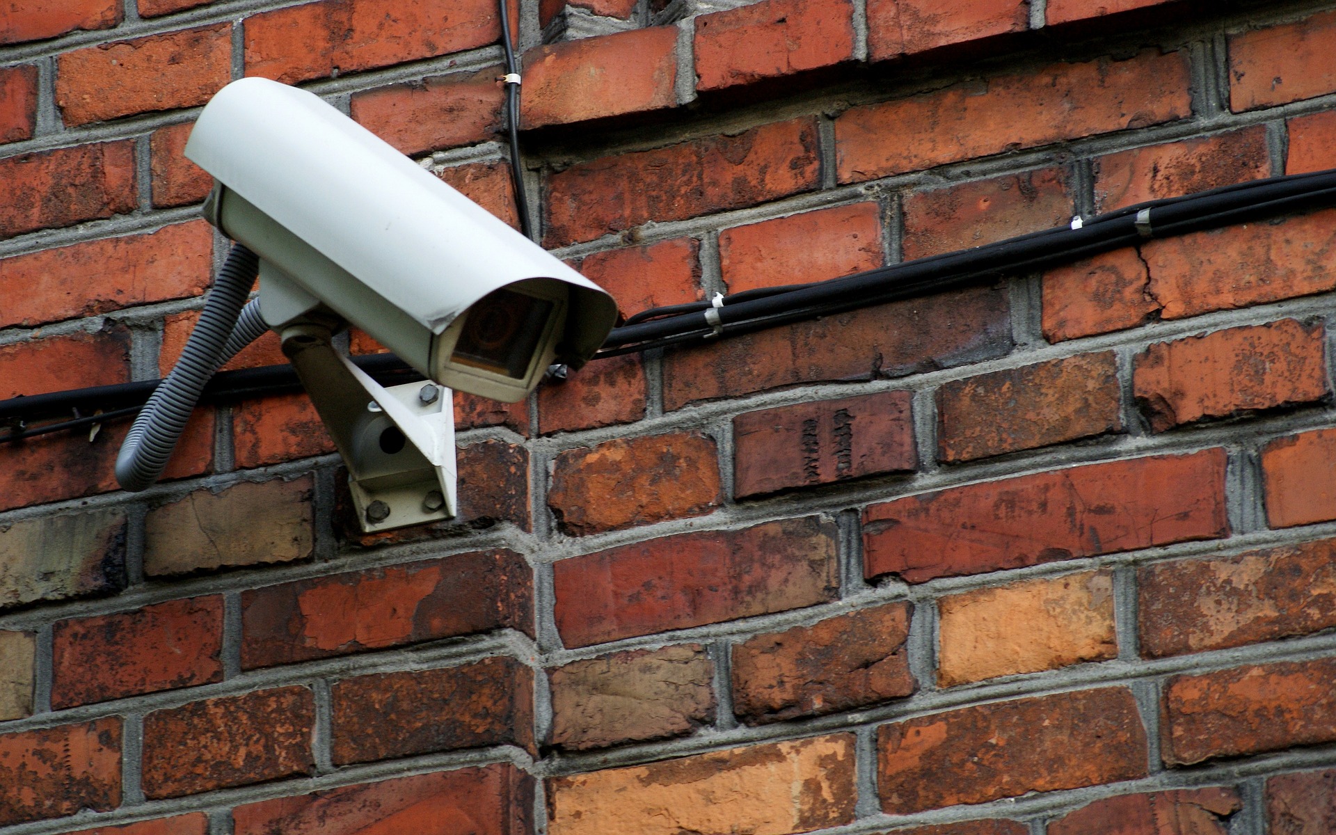 Cámaras de vigilancia para interior: ¿Cuál comprar? Consejos y  recomendaciones